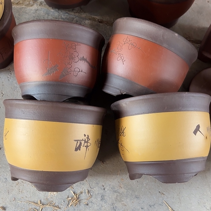 19×15四只       福利价