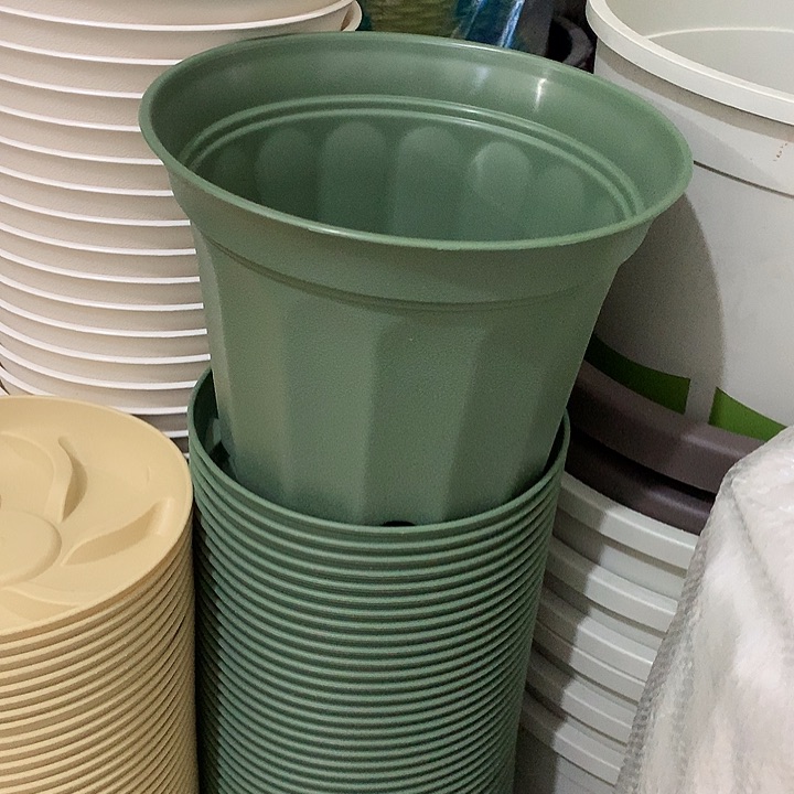 小果汀17口绿5个带托