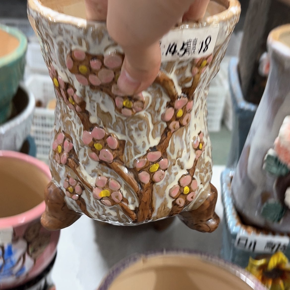 【闪购商品】红陶福利