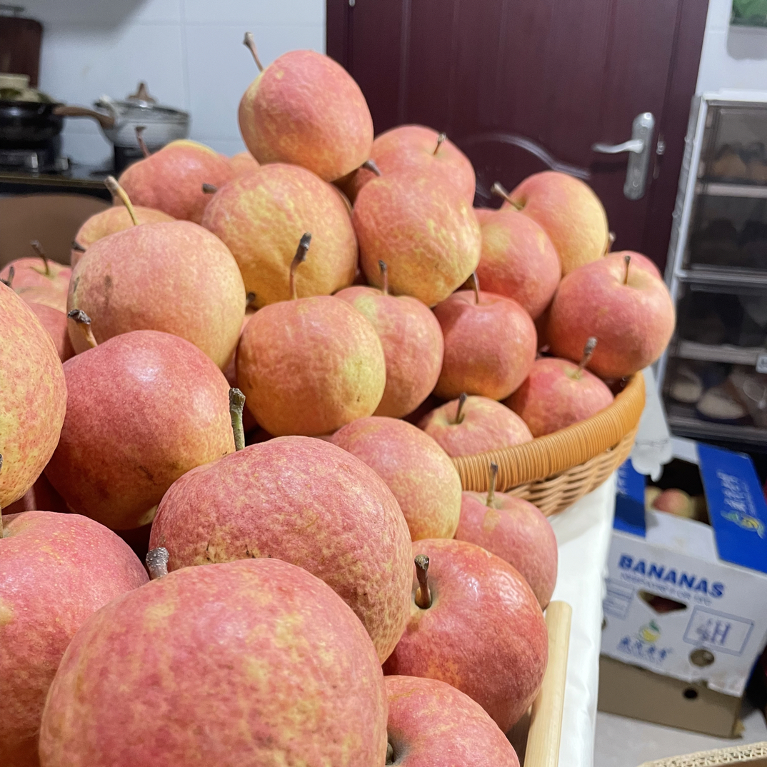 优选红肖梨脆甜多汁纯甜无酸精品水果