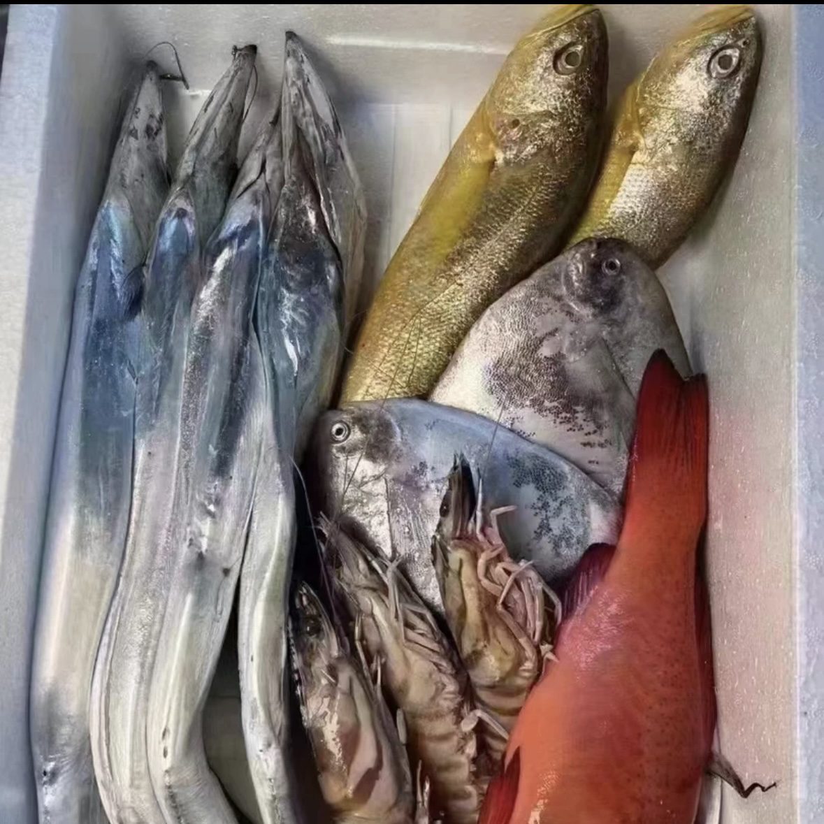 海鲜现拍现称链接