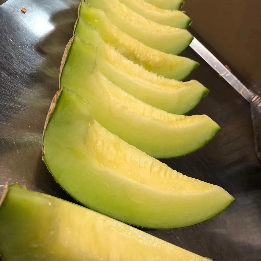 吃海牛口口蜜甜瓜水果新鲜应季1个