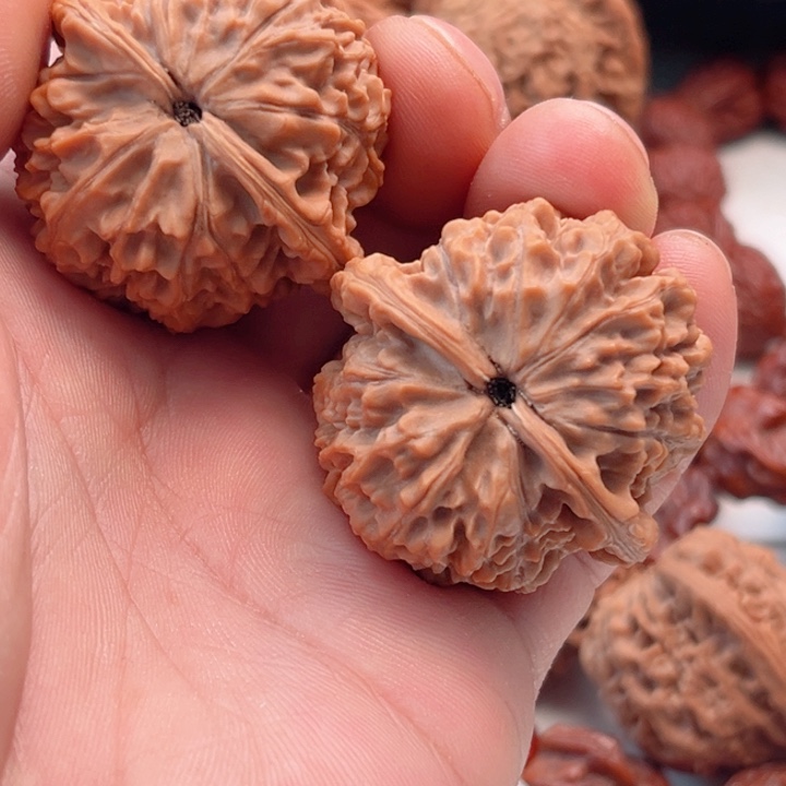 用***2文玩核桃把件野生晋公子树头王对