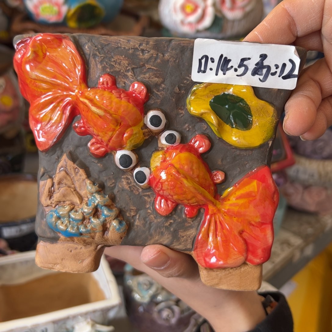 多肉花盆，满20米发货爱退款拉黑