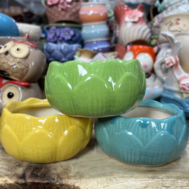 莲花多肉陶瓷花盆特价上新口9高5