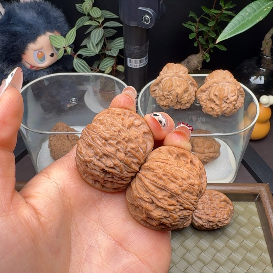 福***贵龙脊菩提把件全品山地磨正磨41