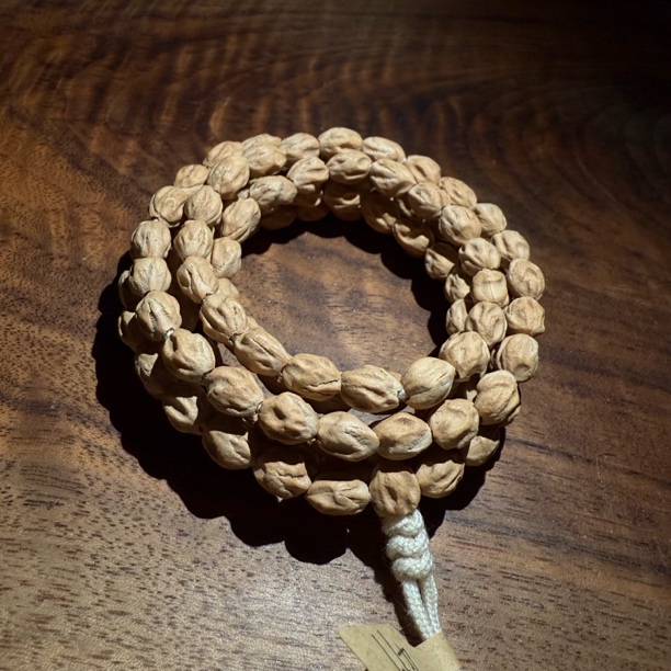 热振高桩纯原夜莺