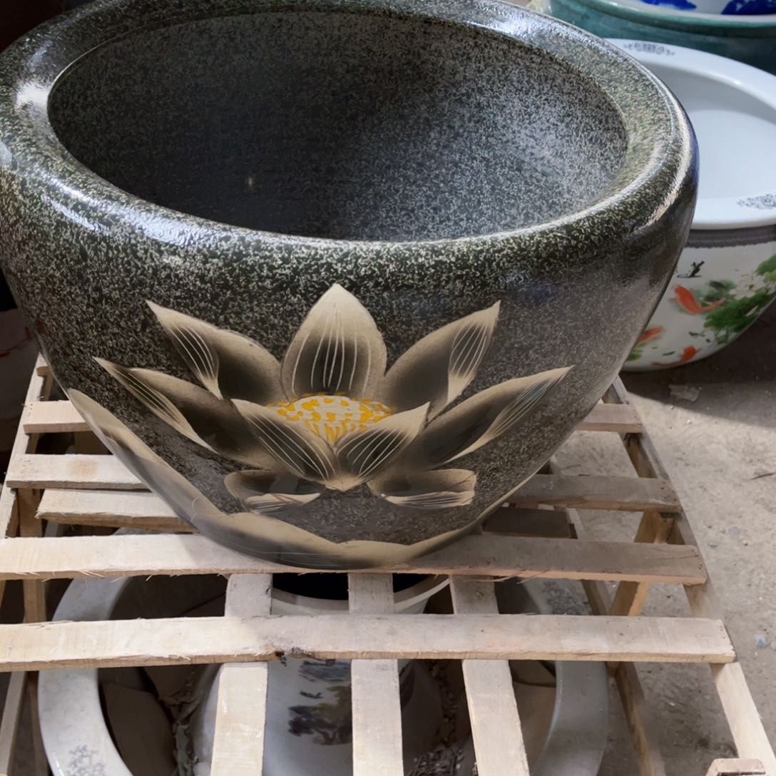 瓷片大头50全8888888888888888