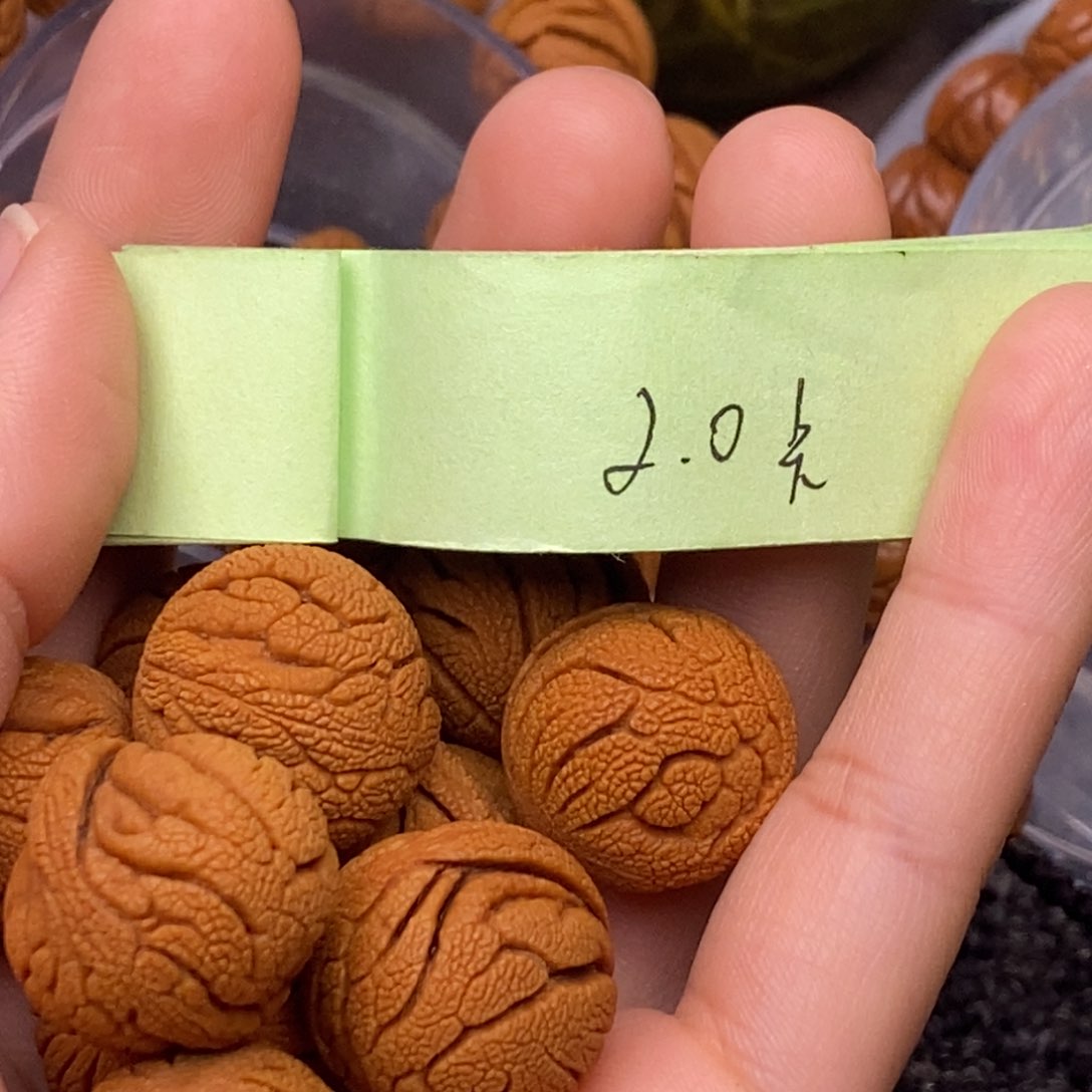 秦岭山脉龙纹桃核 13