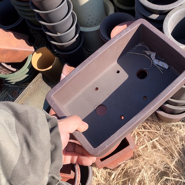 紫砂我要不就是你一定