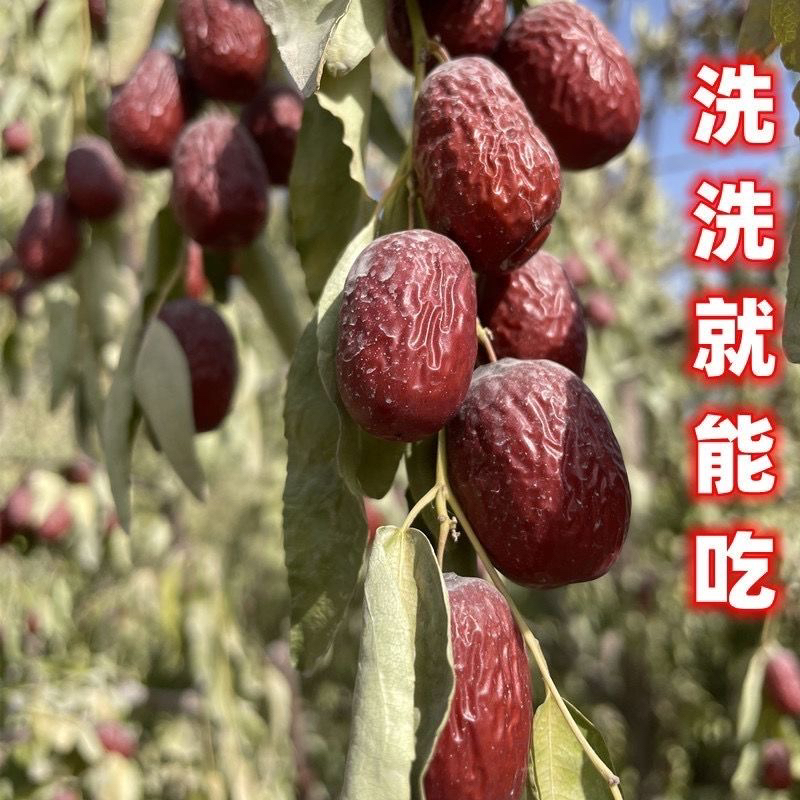 【正宗新疆枣】新疆若羌灰枣5斤 原生态未清洗带土红枣树上吊干红枣