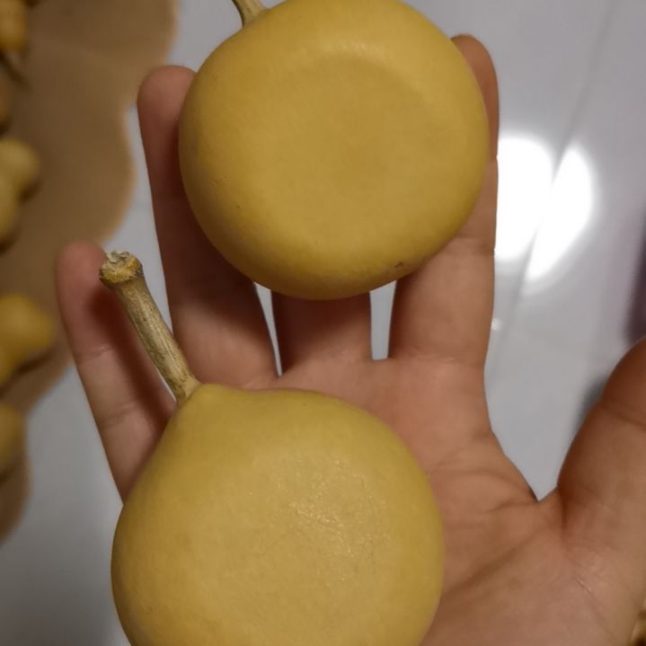 奶***ಣ自然葫芦专拍链接