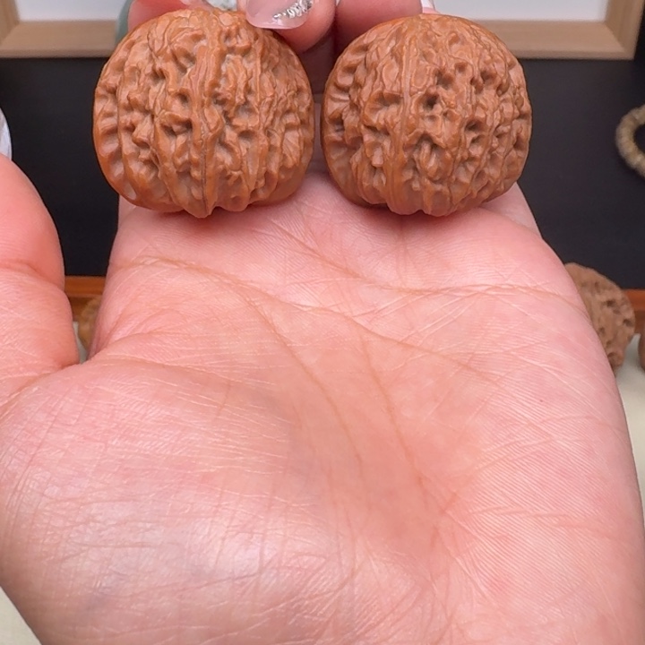 文玩核桃把件白狮子34