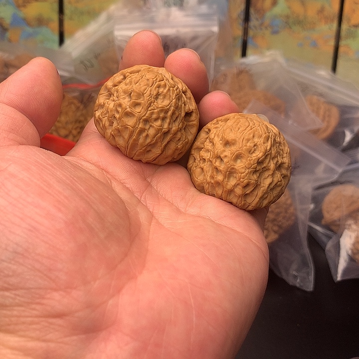 核桃大团圆39尺克重轻