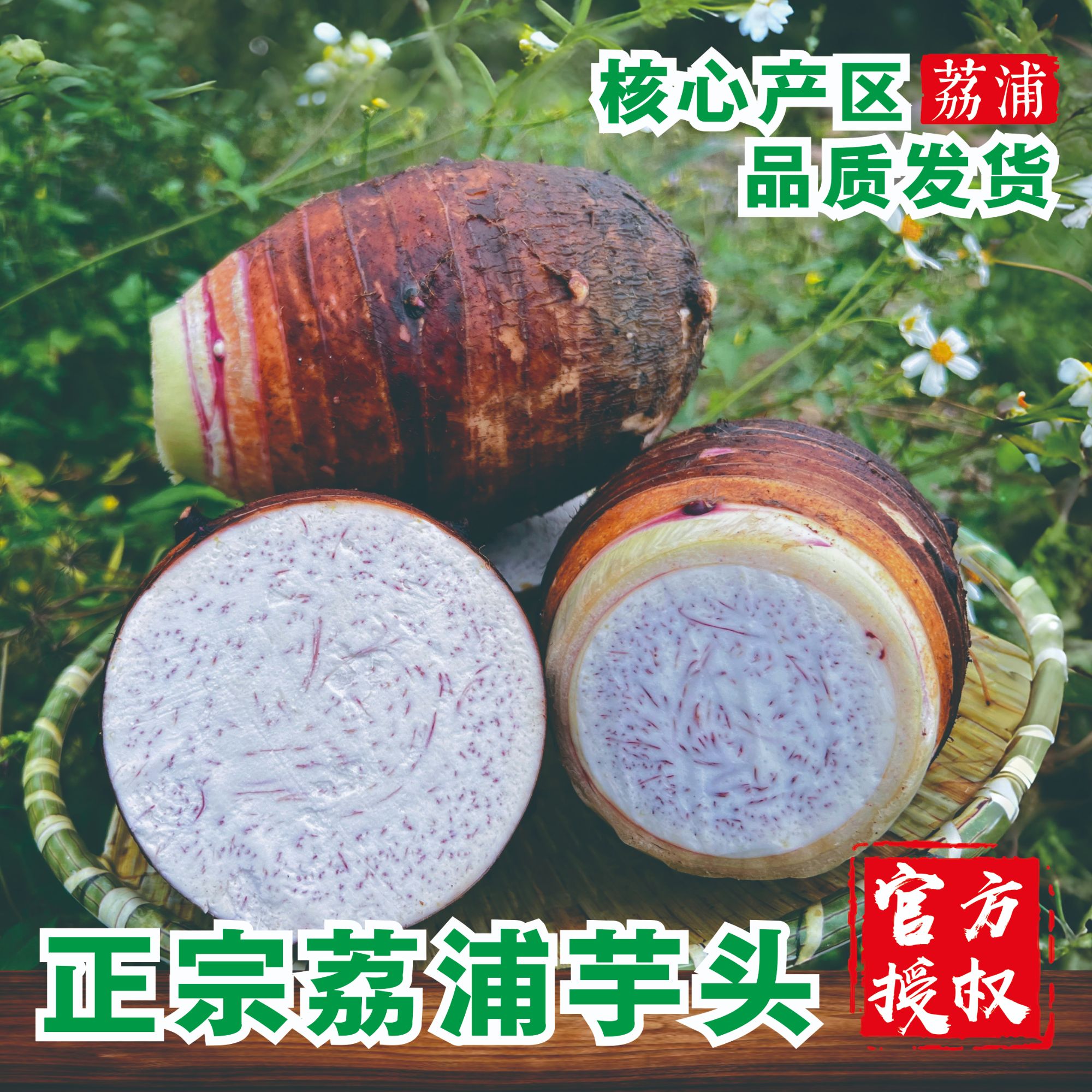 【东三西北链接】正宗荔浦芋头新鲜现挖粉糯香芋广西桂林特产毛芋头