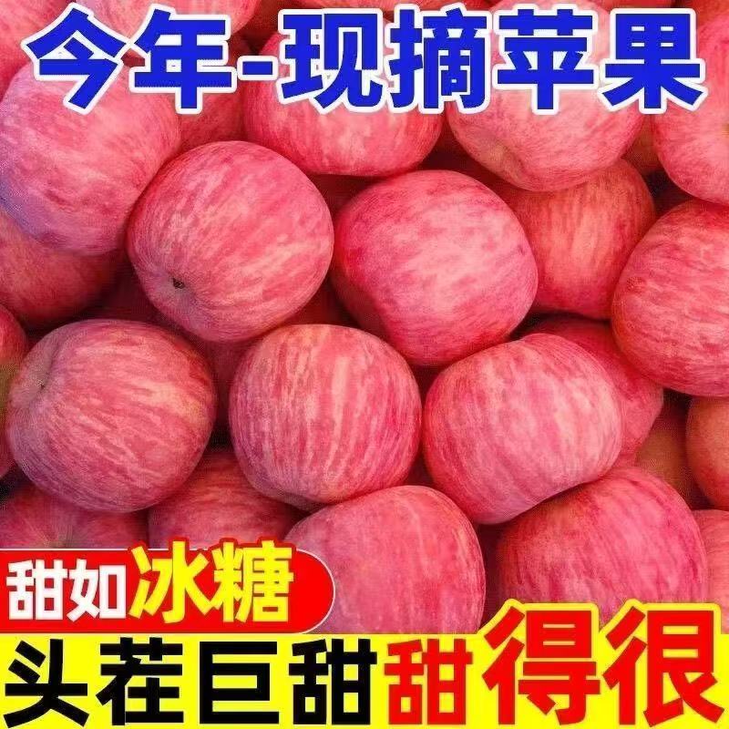 头茬红富士苹果新鲜现摘不打蜡当季新鲜农家水果脆甜整箱果园直发