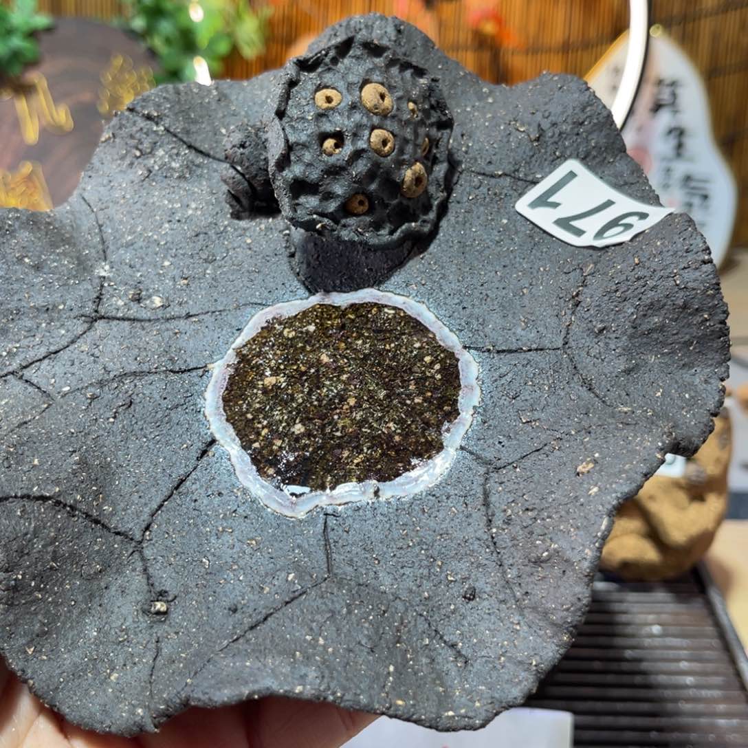 木村信弘柴烧保平