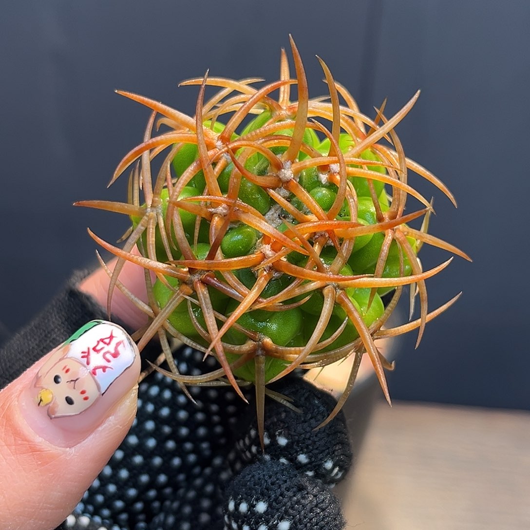 福利碧岩Zzzzzzzzzzzzzzzz