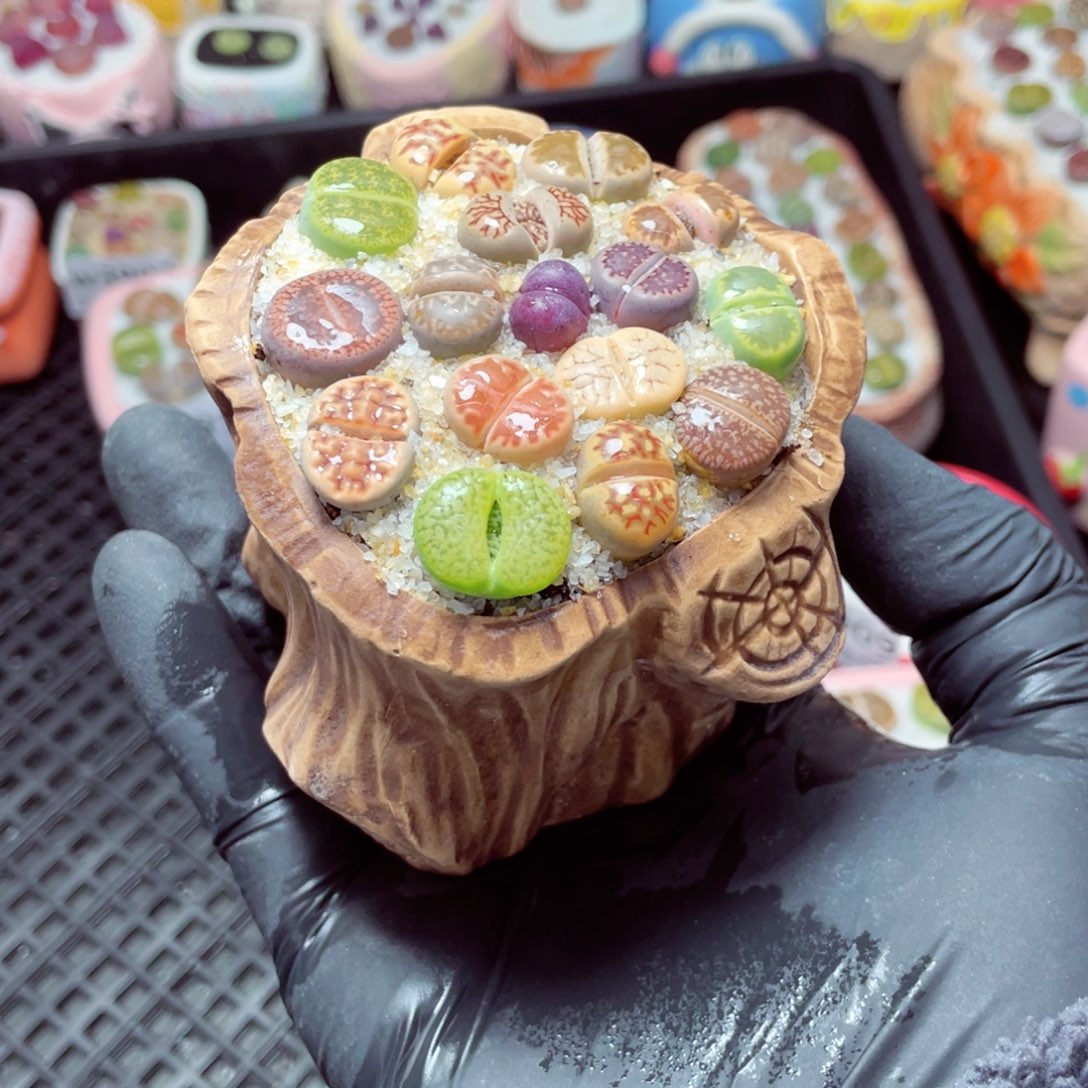 w3913--带盆土发货，零下地区拍保温箱