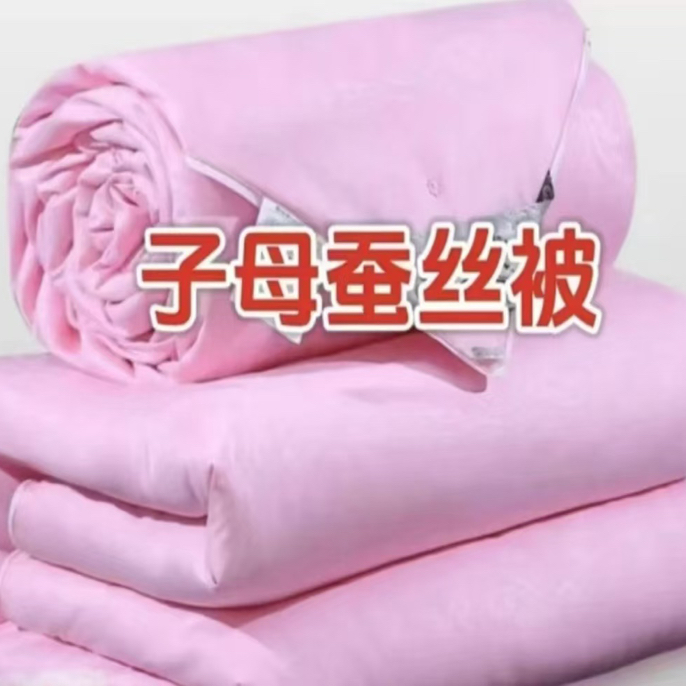 纯天然东北野蚕丝子母被2+4斤一年四季通用被