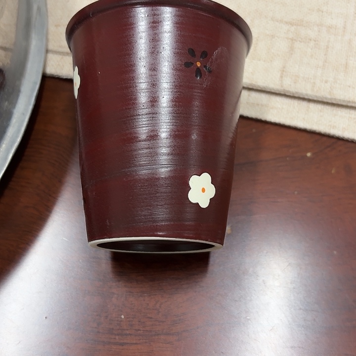 祖国女协会主席此次袭击