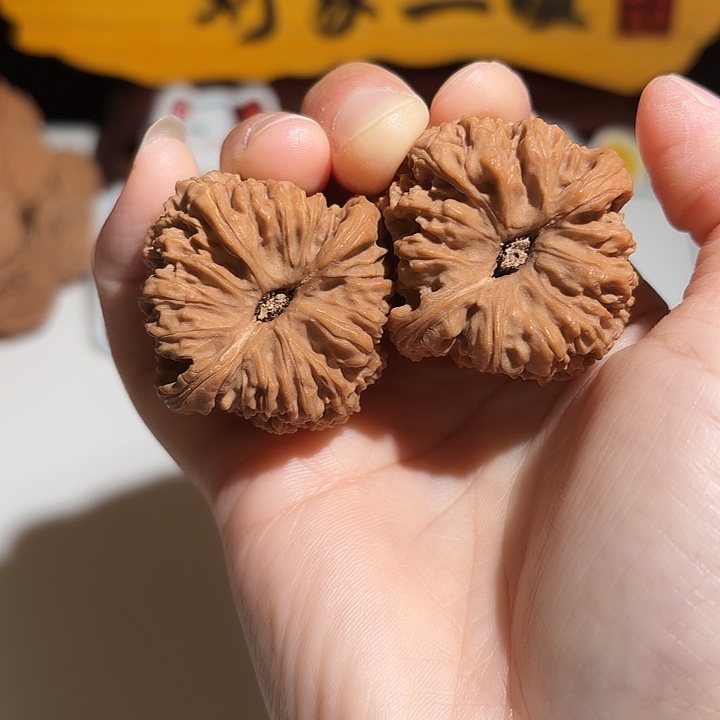 微***要大叶紫檀（黑酸枝木类）