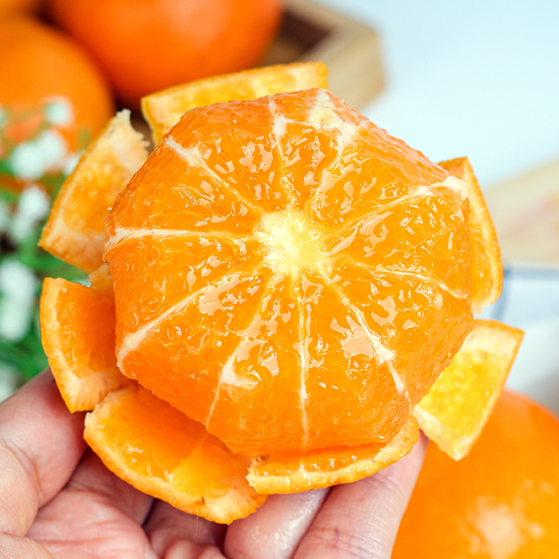 gk广西武鸣沃柑当季新鲜水果皮薄多汁香甜柑橘