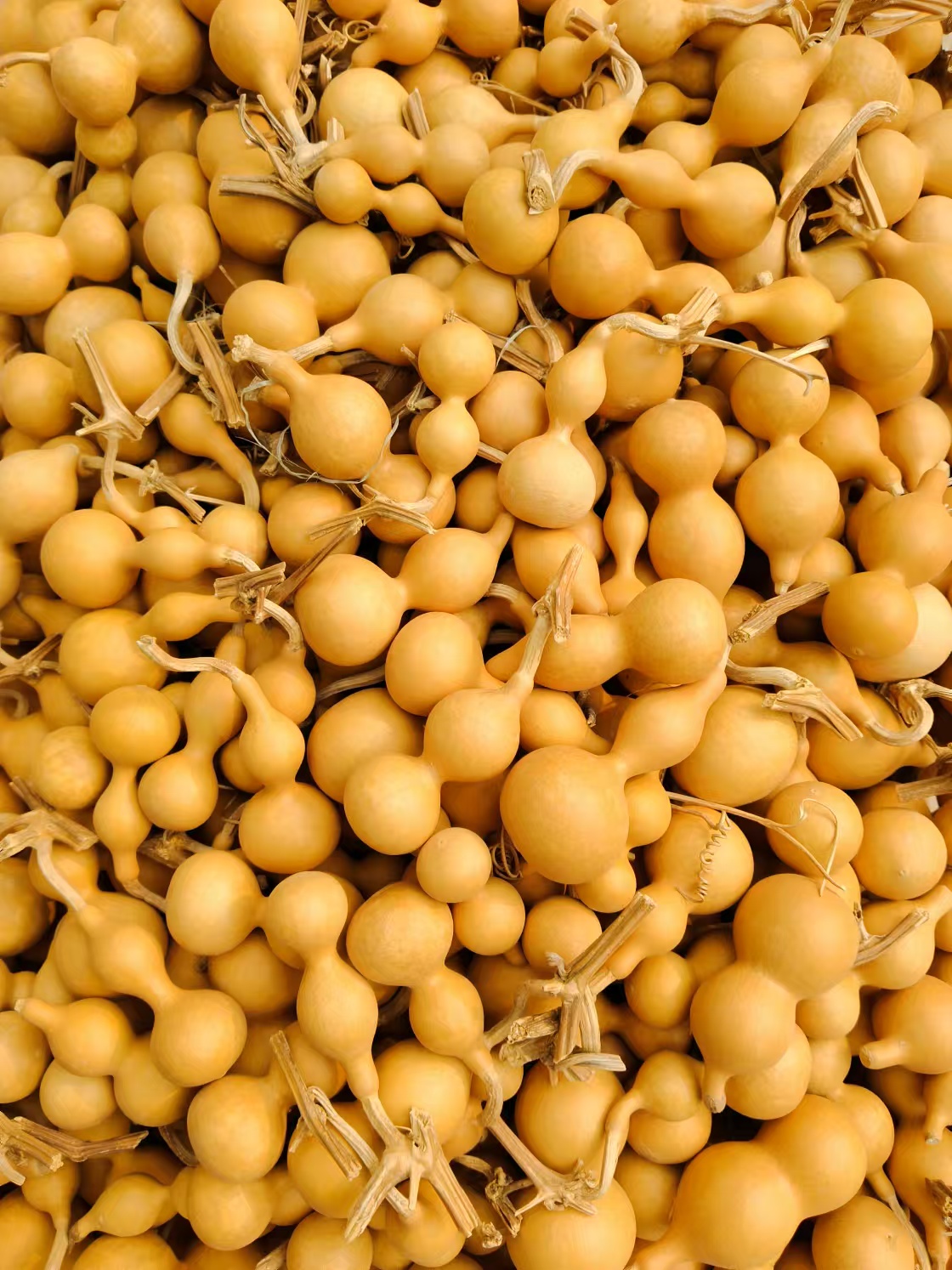 直播间专拍【葫芦摆件】请勿私拍