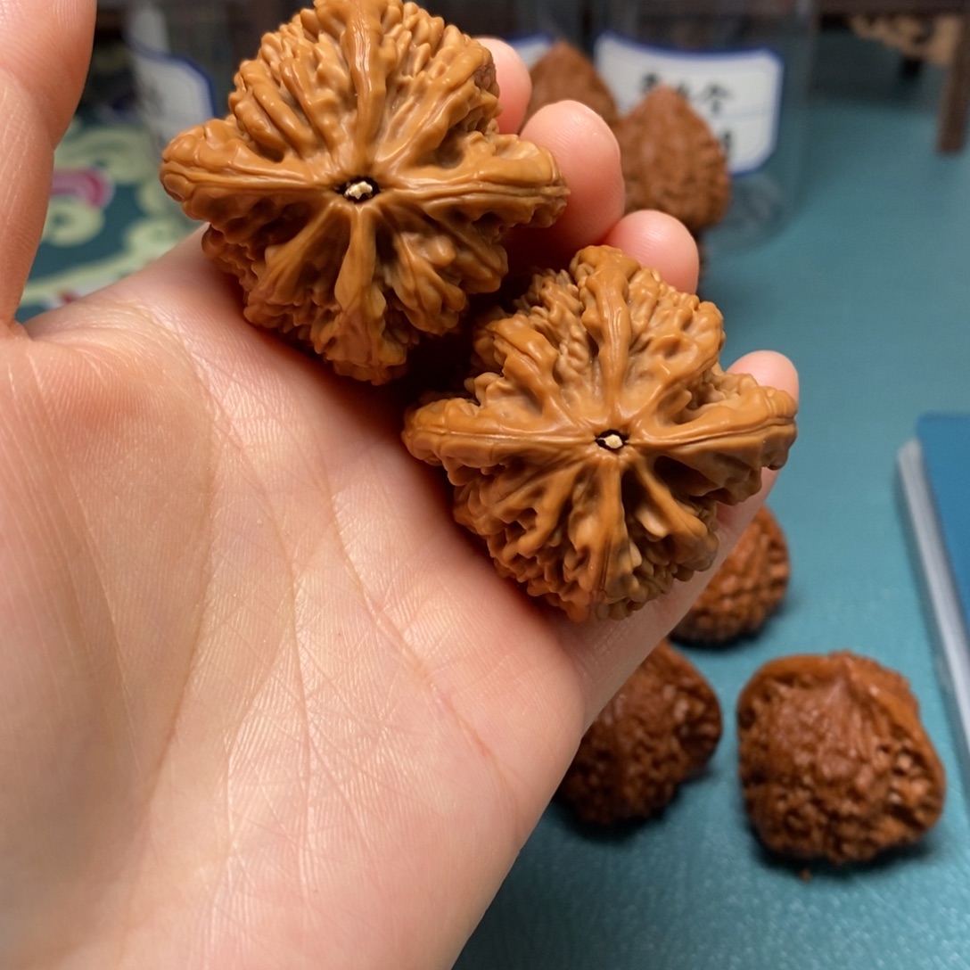 核桃43尺全品虎头王