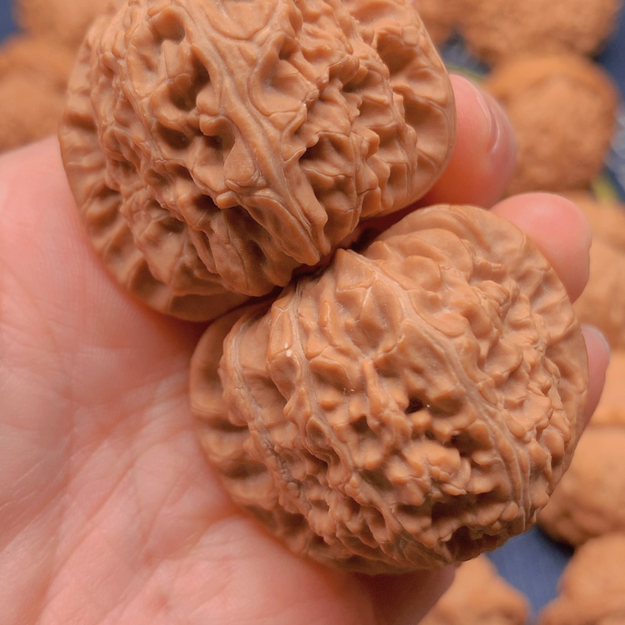 【闪购商品】文玩核桃把件三角白37