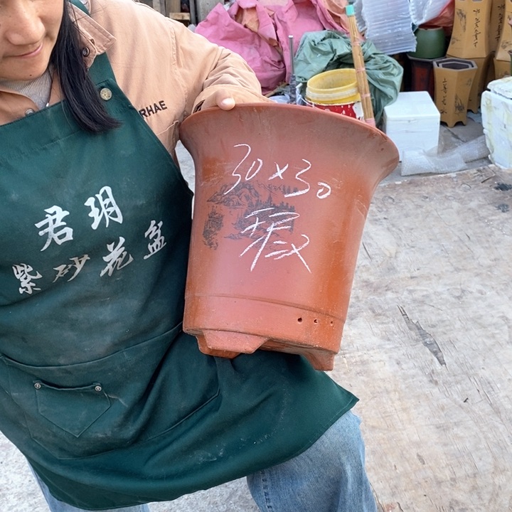 紫砂花盆盆栽花卉苗木种植