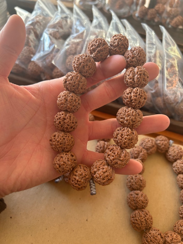 云愈精品大金刚蜂王20尺寸