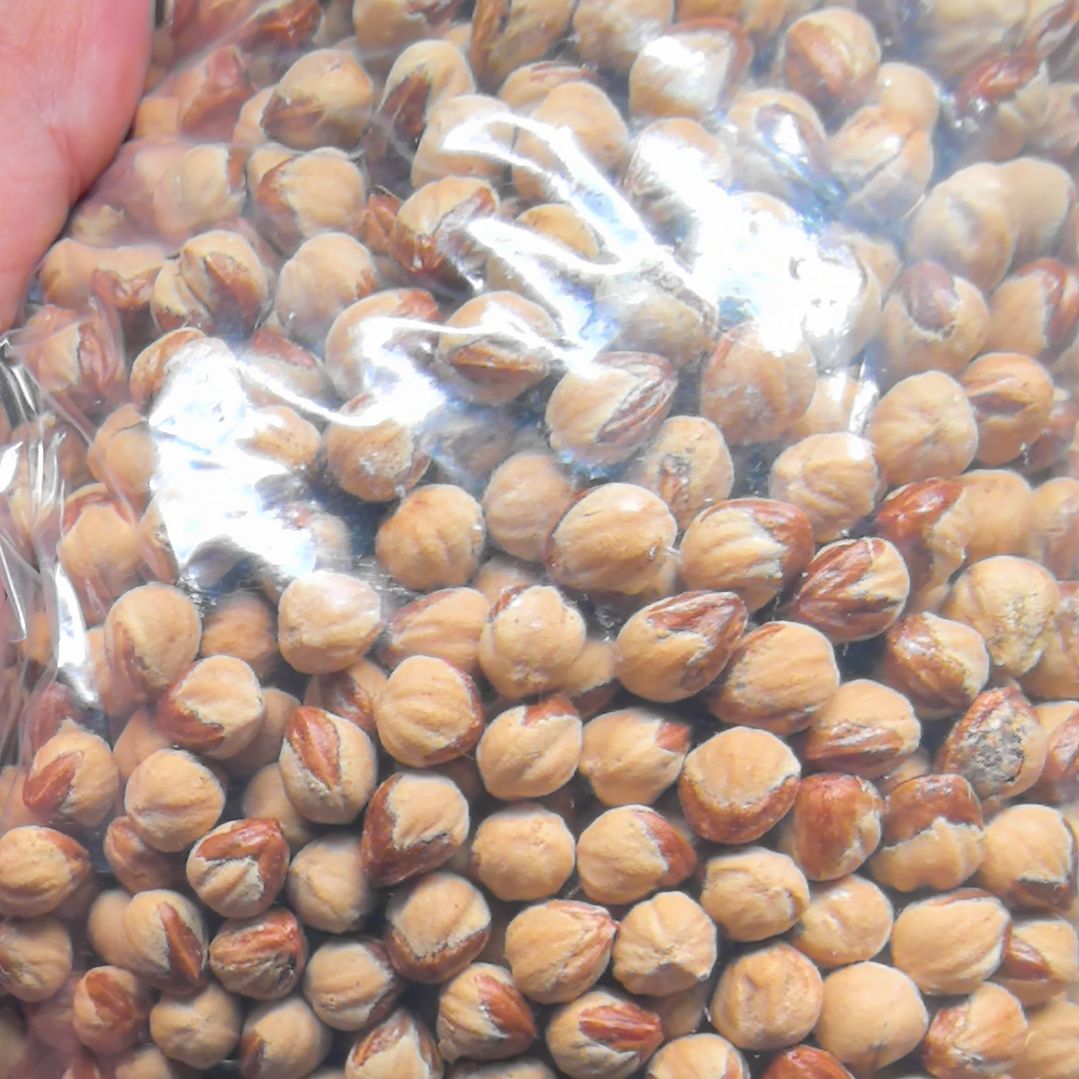 柏香籽/百香籽手串