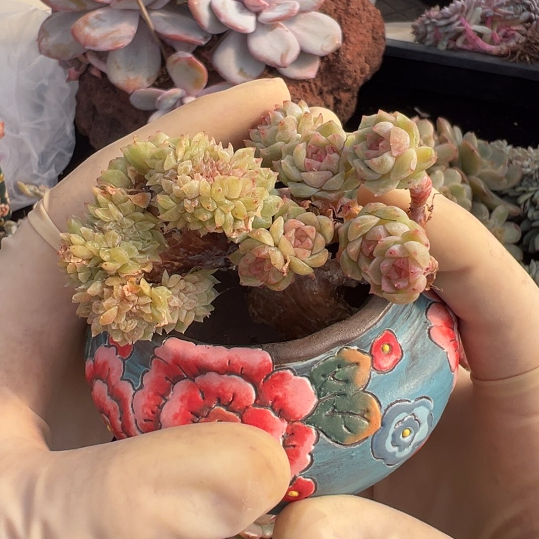 U***I新年快乐 新年快乐