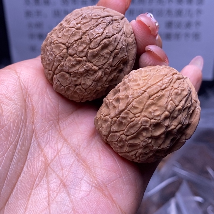 核桃云南野生铁核桃164号35mm