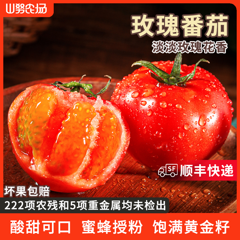【顺丰快递】山努玫瑰番茄水果自然熟草莓西红柿多汁新鲜生吃小柿子