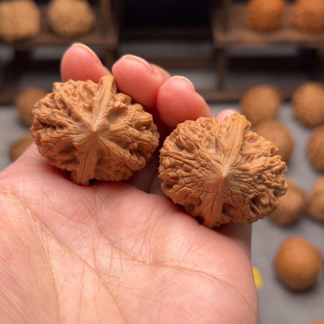 桃核把件太行龙纹34.38.37