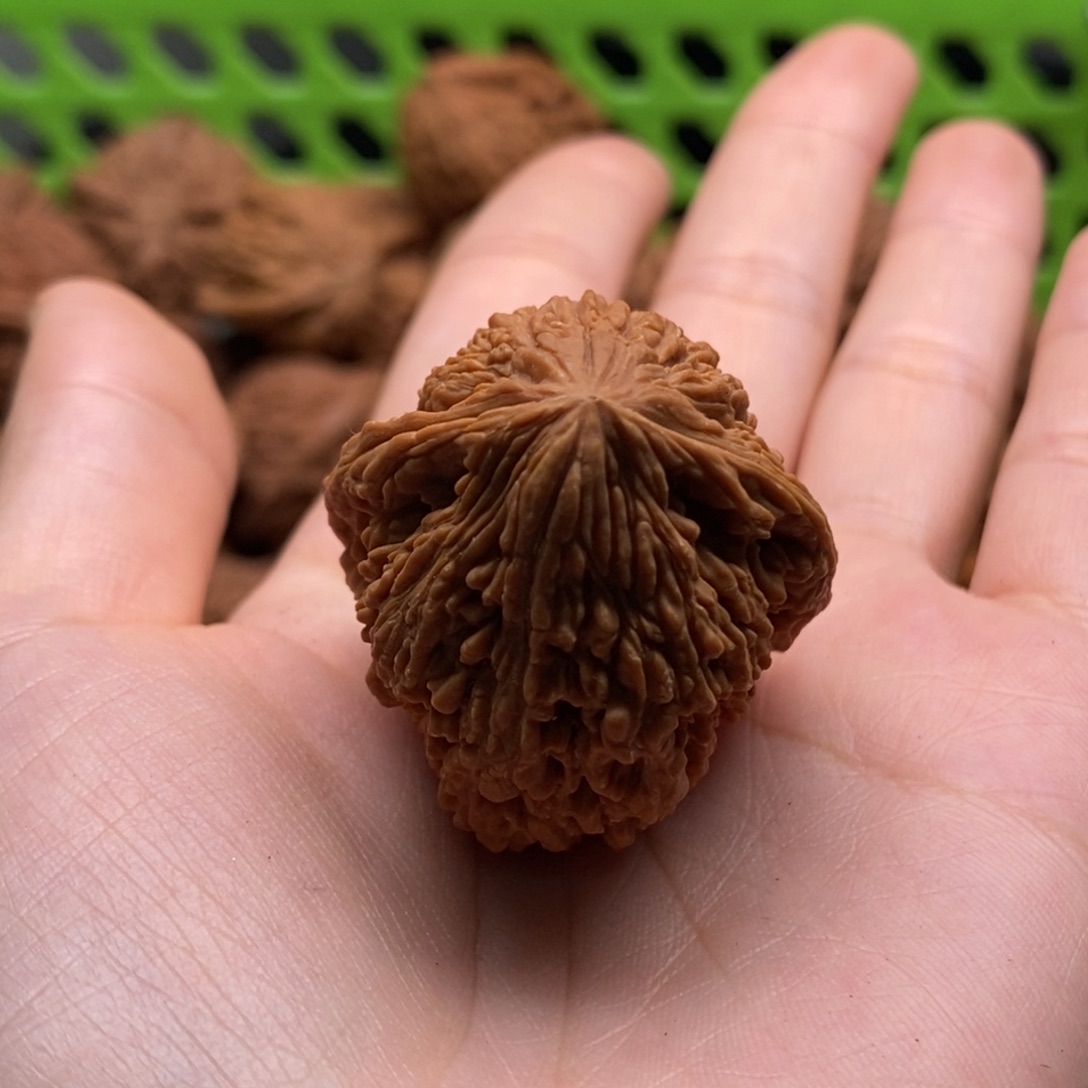 知***足核桃定制商品不退不换