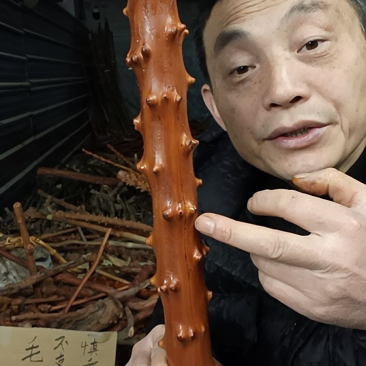 稳定木飞*福贵州檬子木   铁马鞭   根艺  半成品