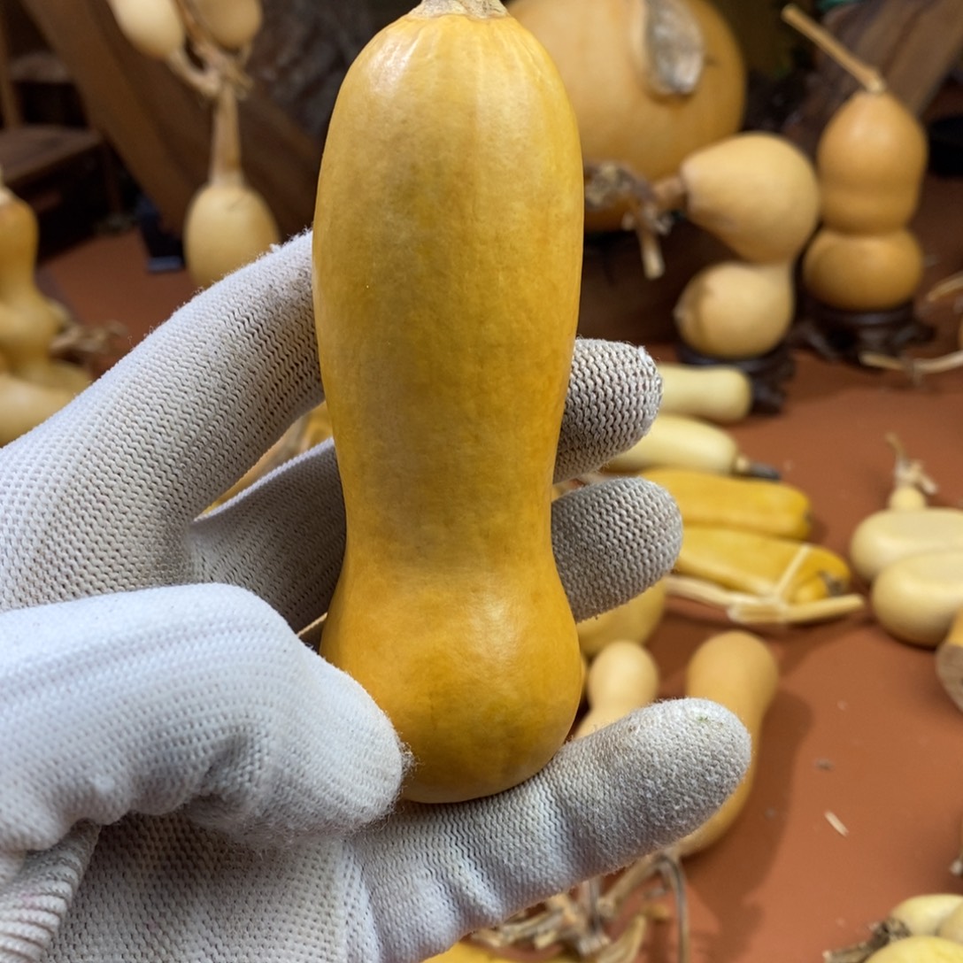 困***行教练教练教练经理