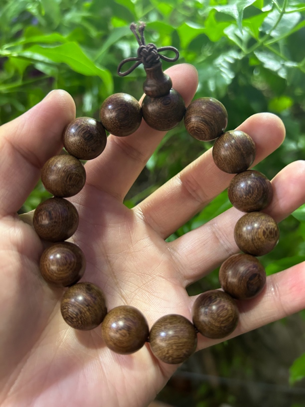 【土特产菇524】净含量28g