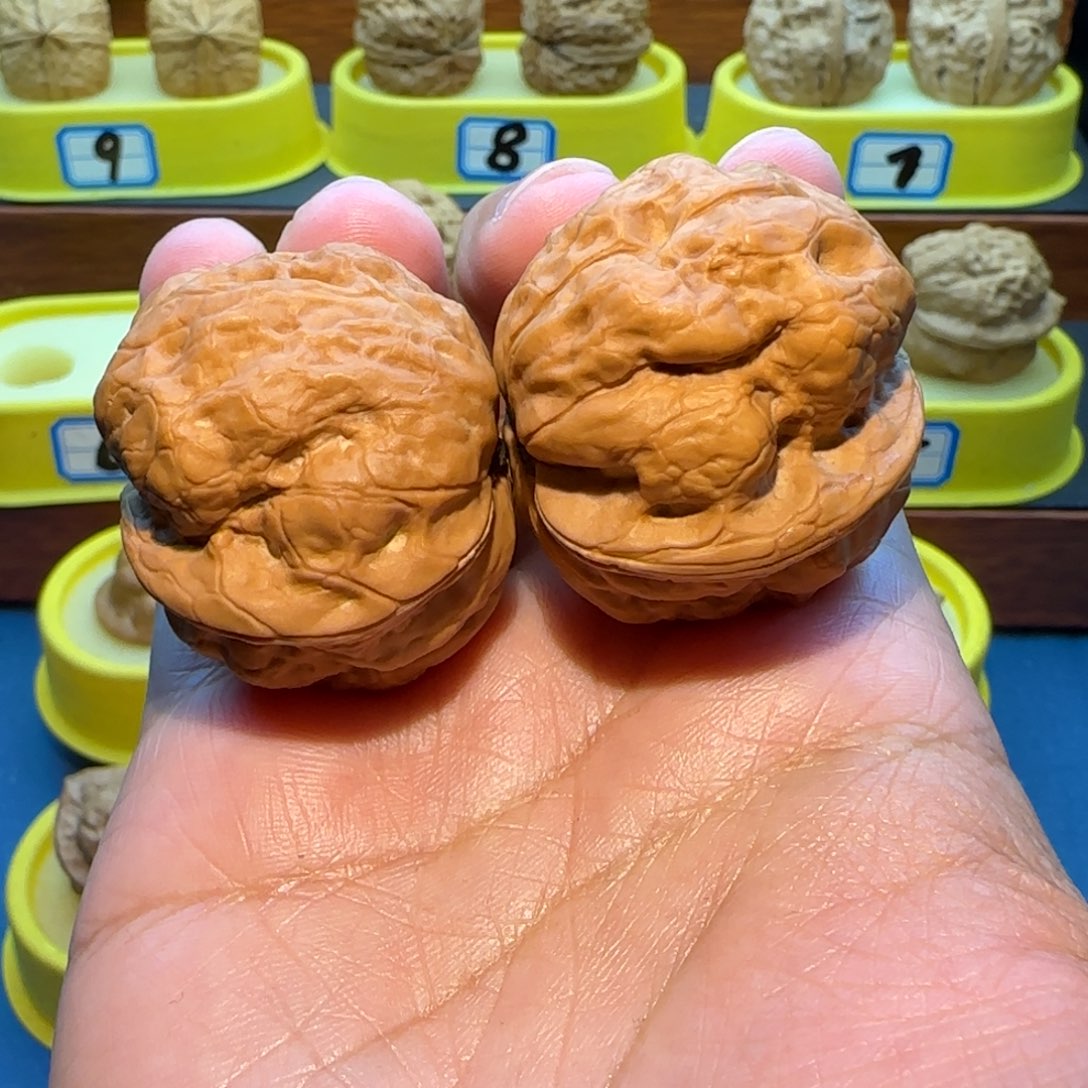 贞***》把件桃核蟾祖核桃