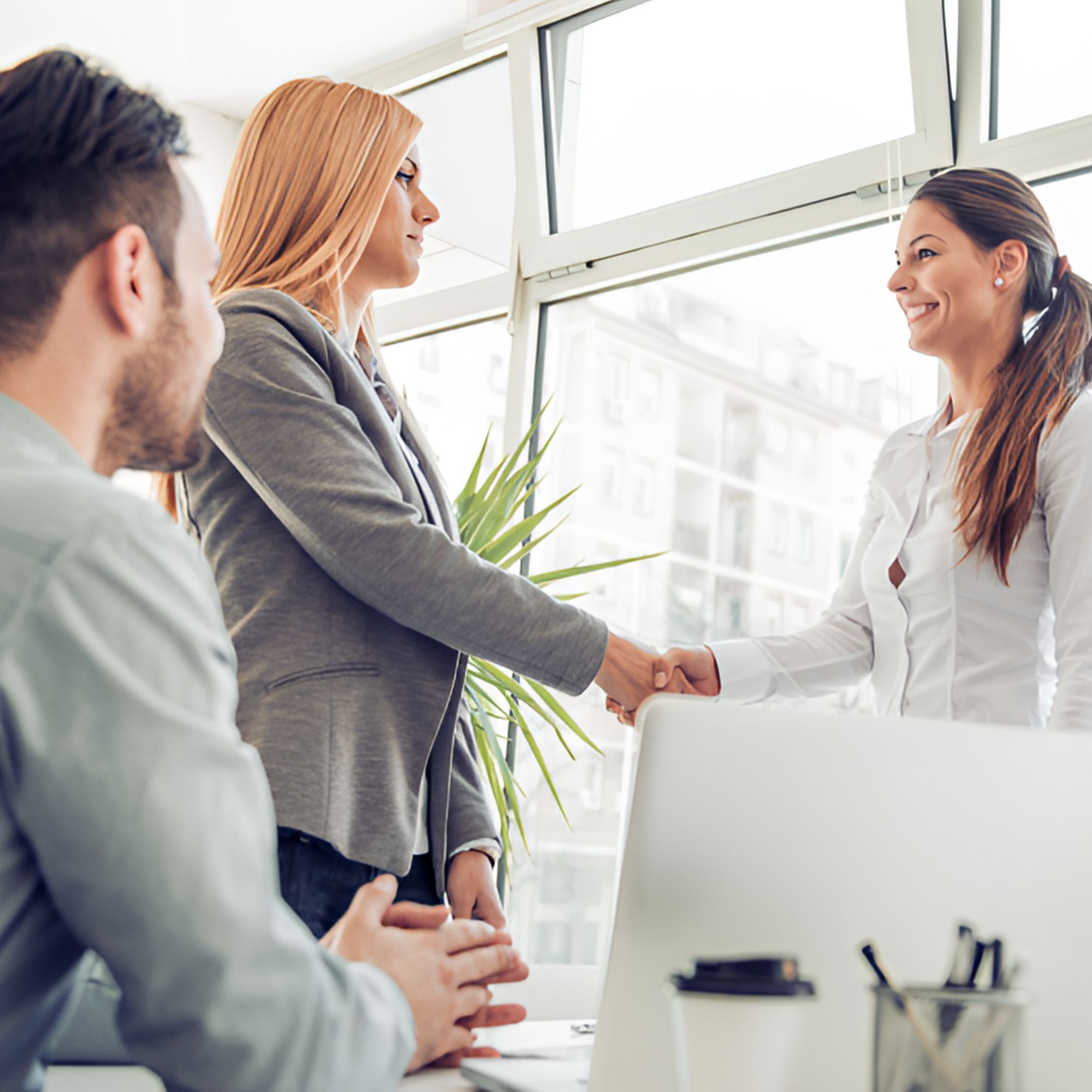 成峰犬业高端艺术定制服务