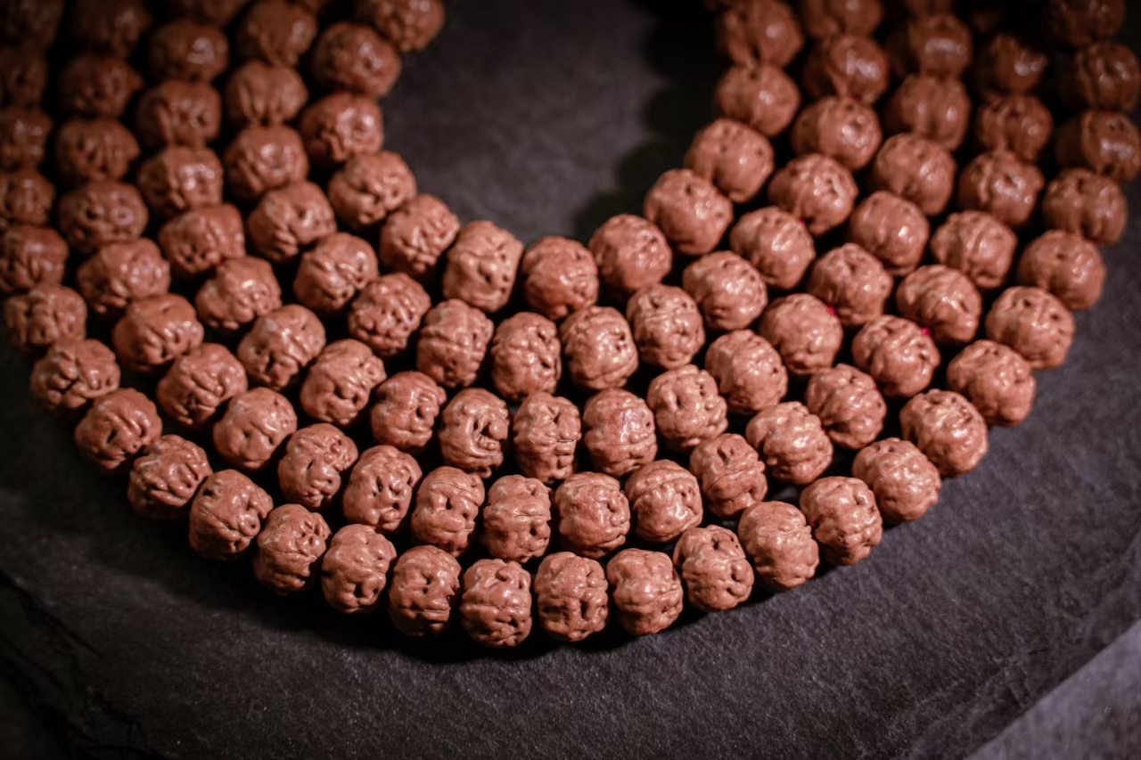 原生态佛手小金刚五爪金龙