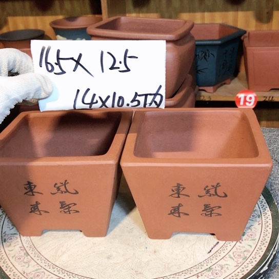 紫砂紫砂花盆紫砂花盆