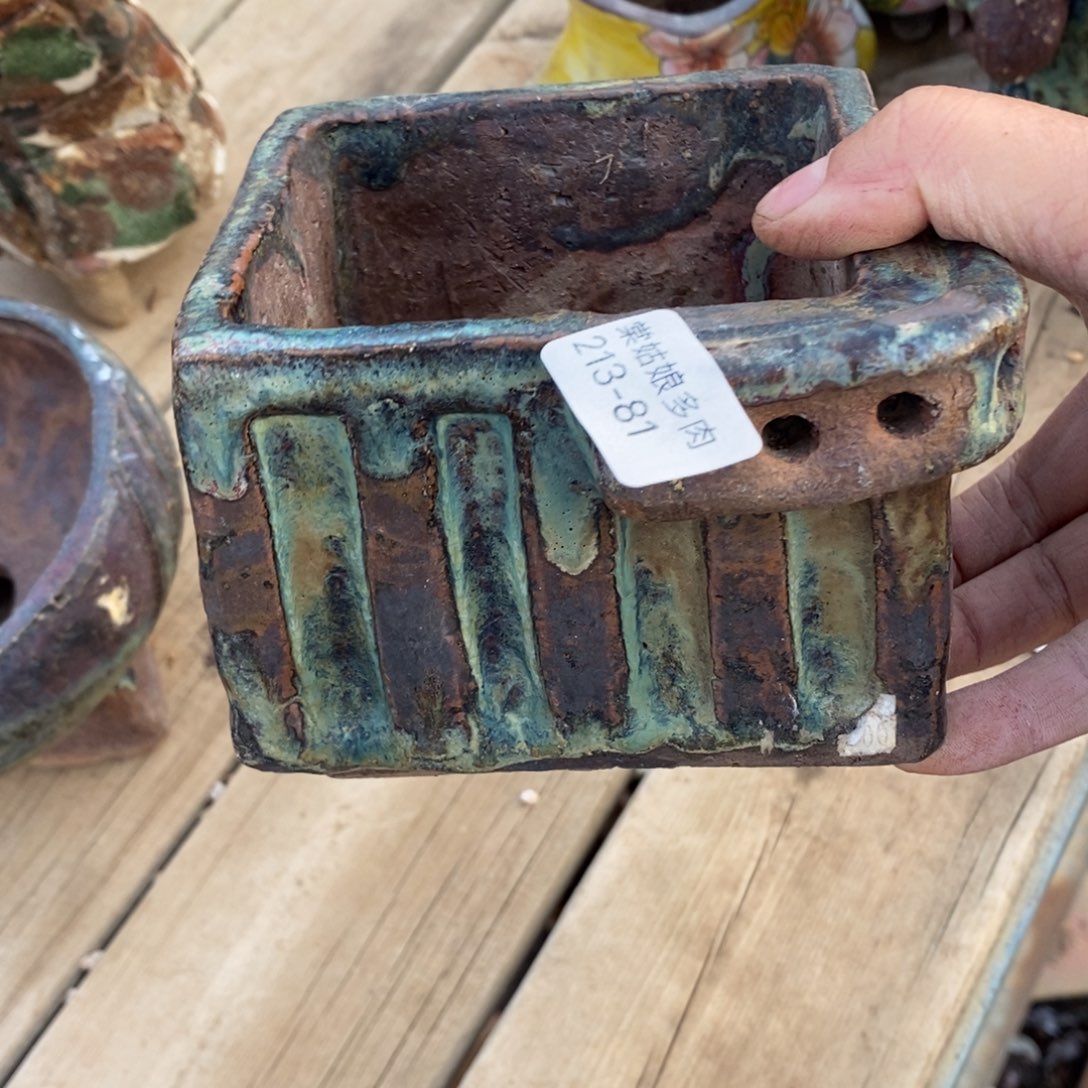 红陶沉**铛81号的人盆一个