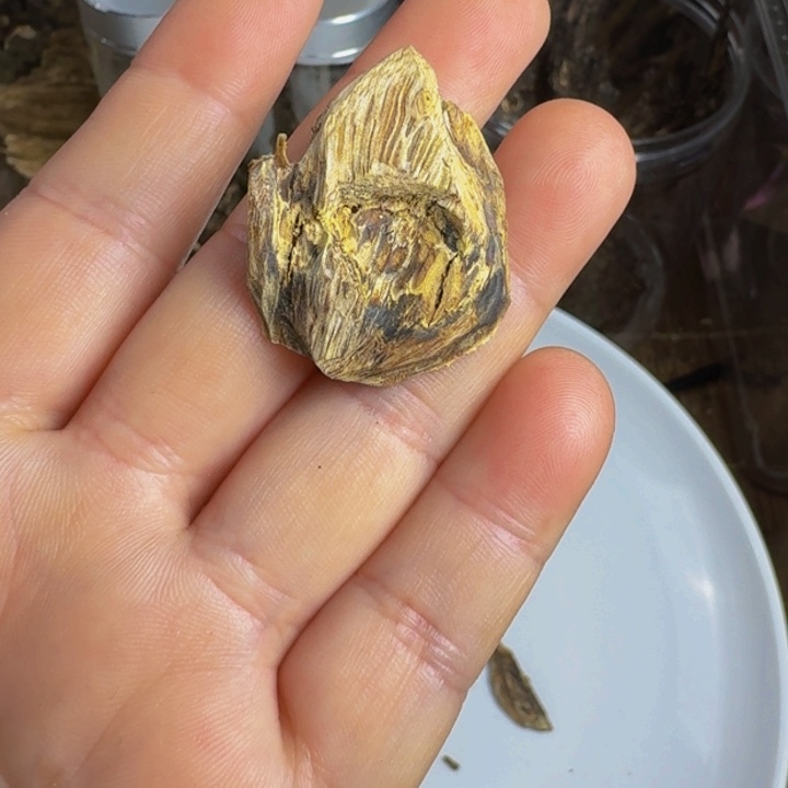 沉香沉香枕虎斑棋11111