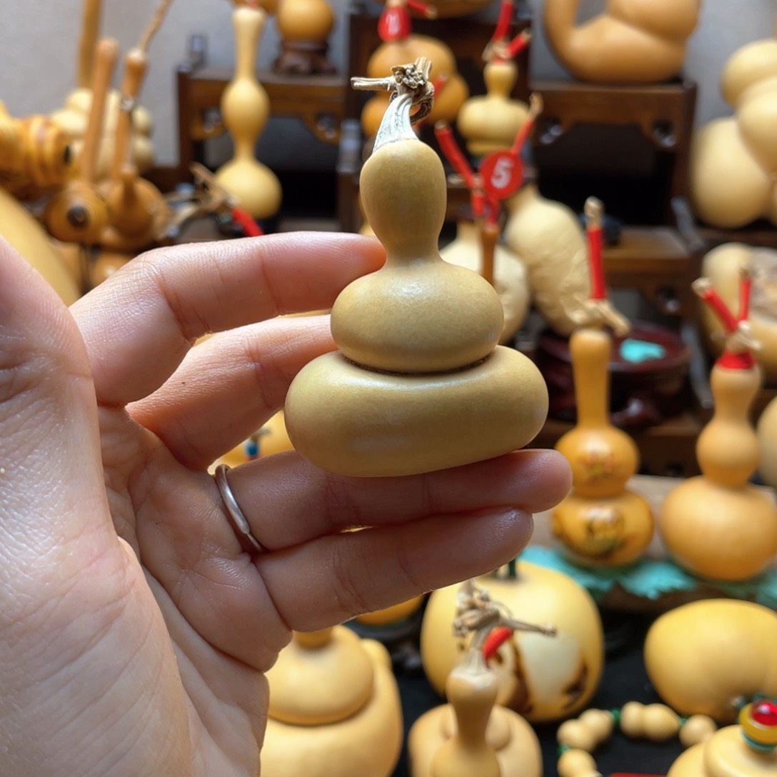 风****英大自然的秘密第十一节你是什么