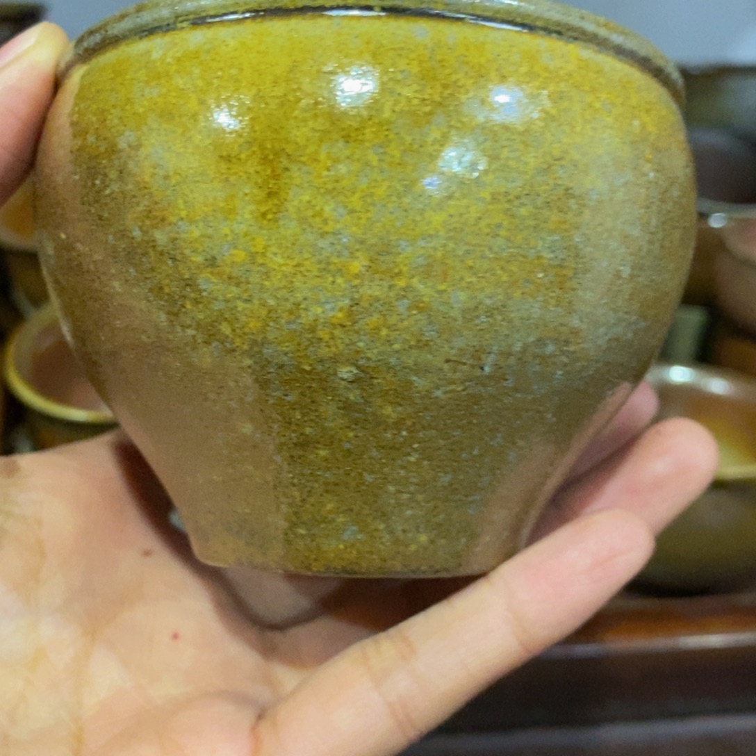 平***真陶噢噢噢噢噢噢噢噢噢噢噢噢噢