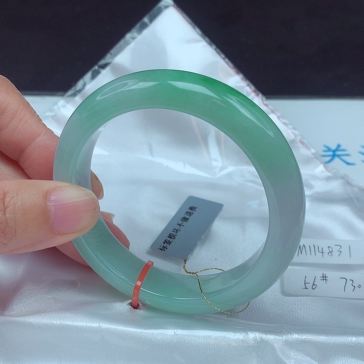 未镶嵌手镯翡翠56圈4831